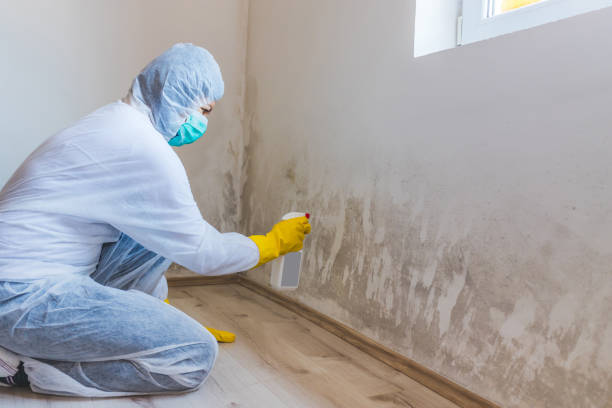 Crawl Space Mold Removal in Yaphank, NY