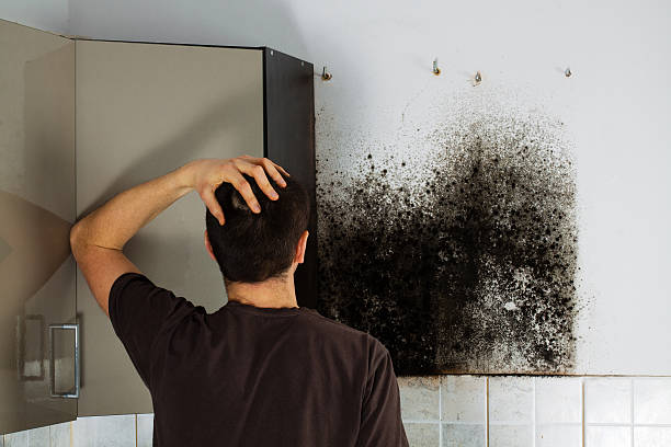 Best Crawl Space Mold Removal  in Yaphank, NY